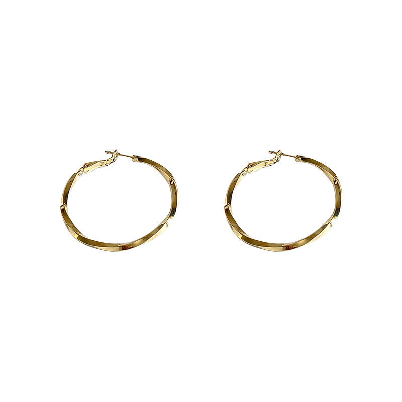 French Metal Circle Earrings Earrings New Women's Douyin Explosive Plain Circle Unique Temperament Earrings