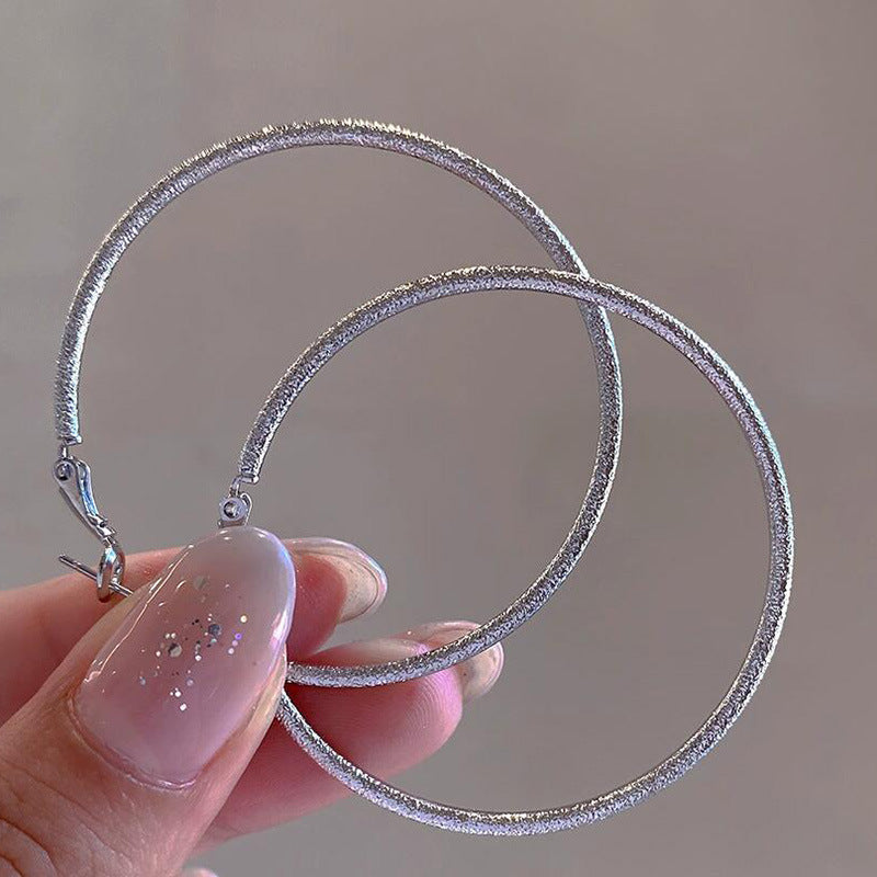 French Metal Circle Earrings Earrings New Women's Douyin Explosive Plain Circle Unique Temperament Earrings