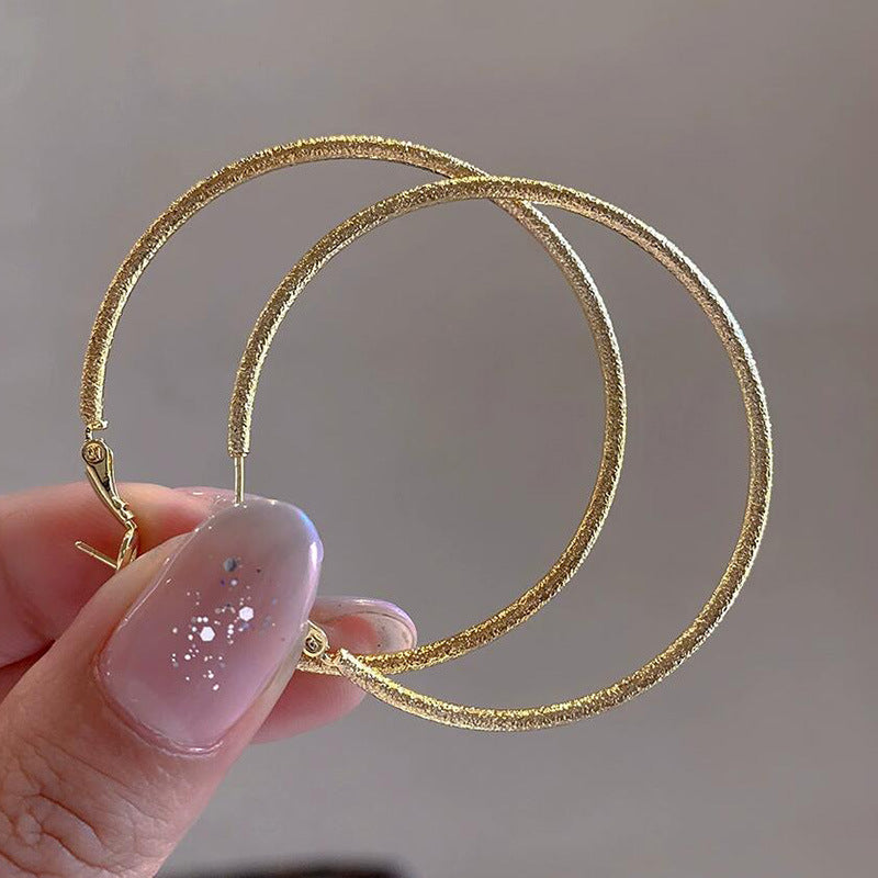 French Metal Circle Earrings Earrings New Women's Douyin Explosive Plain Circle Unique Temperament Earrings