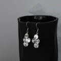 Shining car flower sequined earrings fashionable light luxury pleated disc ear hooks unique creative sense tassel thin earrings
