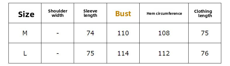 Premium Lantern Sleeve Shirt Top