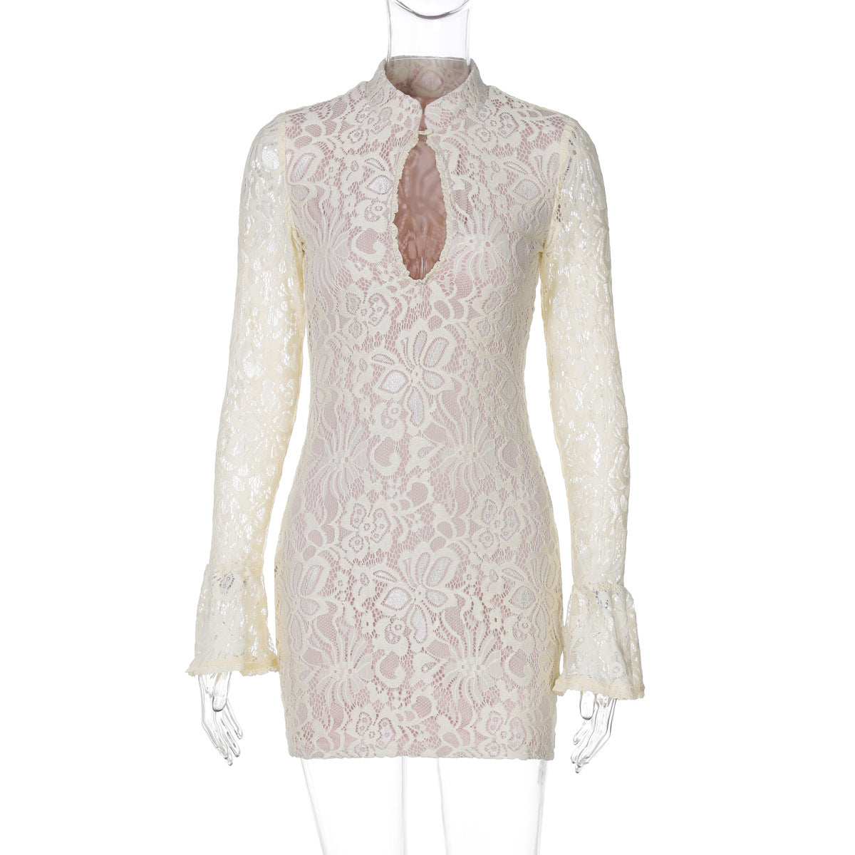 Lace Bodycon Dress