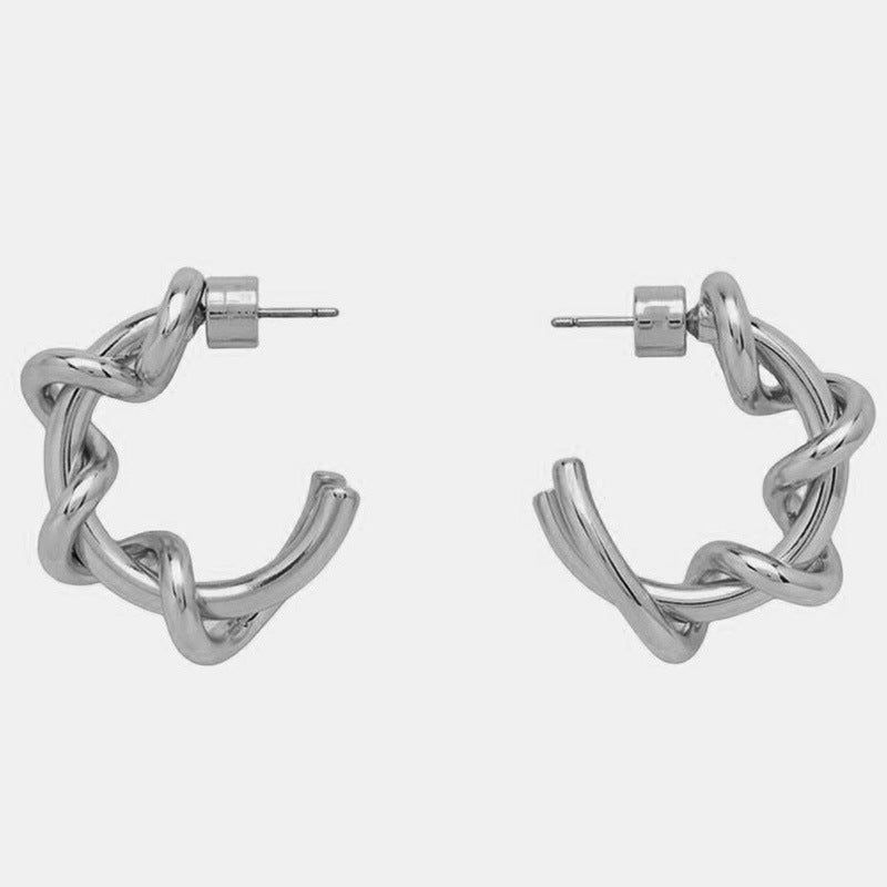 High-end versatile niche minimalist COS earrings cold style earrings