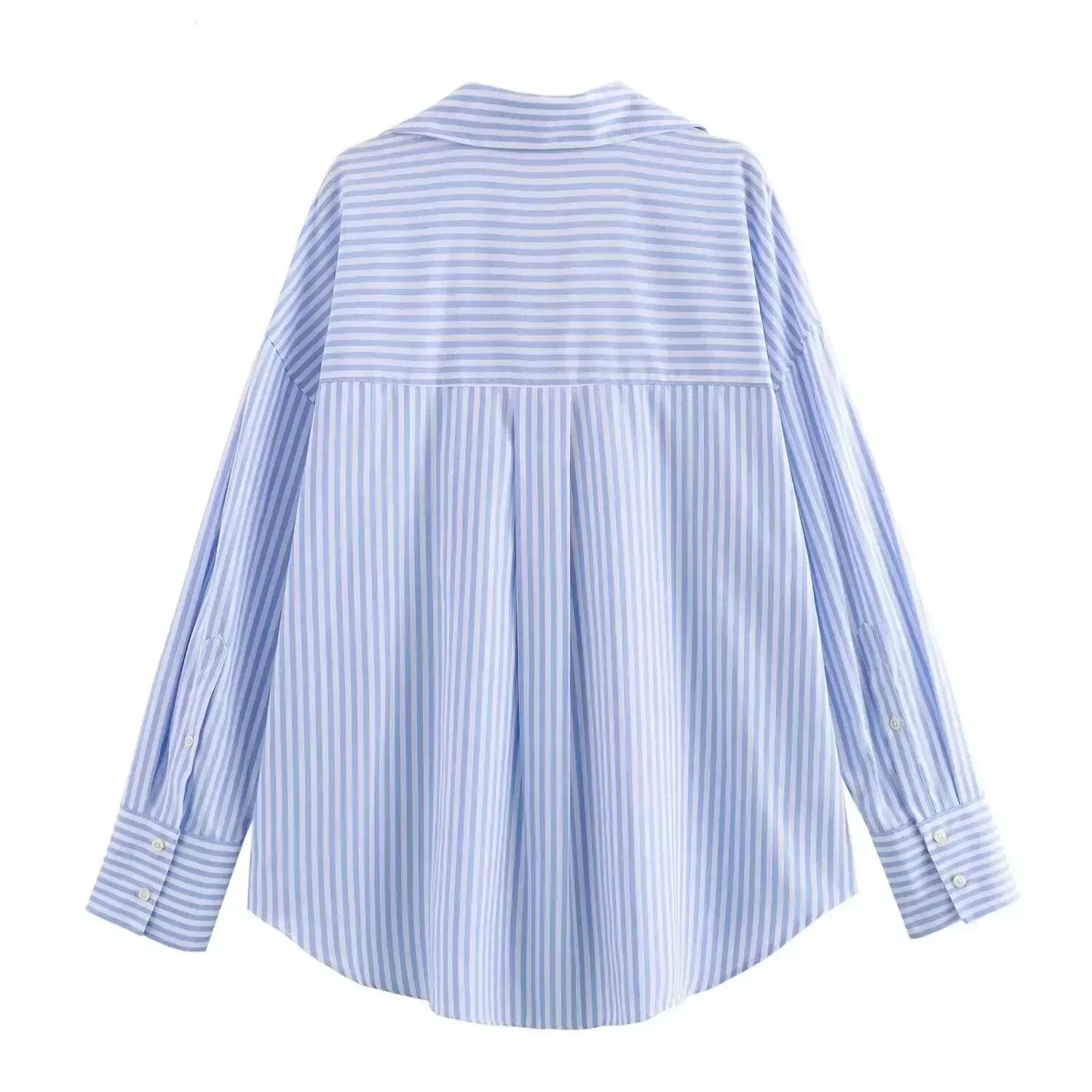 Women's Oxford Button-Up Blouse - Long Sleeve Lapel Shirt
