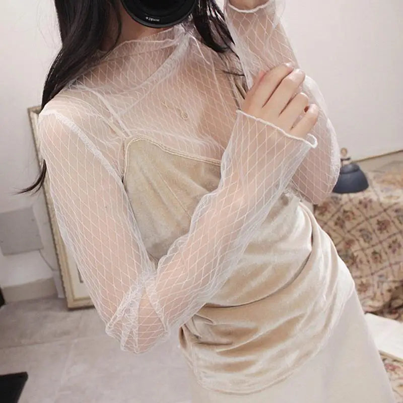 Lace Mesh Turtleneck Top