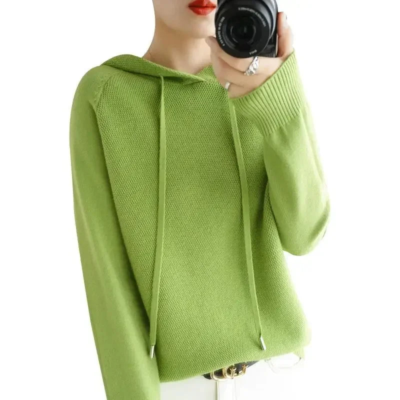 Hooded Knit Sweater Long Sleeve Regular Fit Pullover
