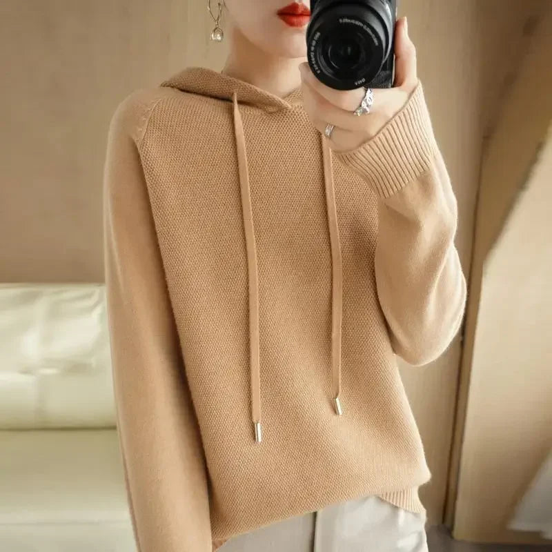 Hooded Knit Sweater Long Sleeve Regular Fit Pullover