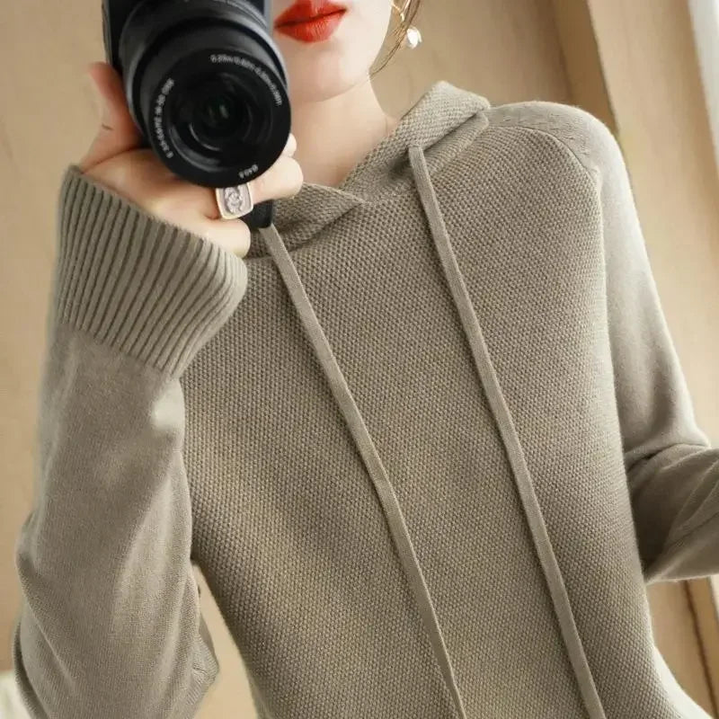 Hooded Knit Sweater Long Sleeve Regular Fit Pullover