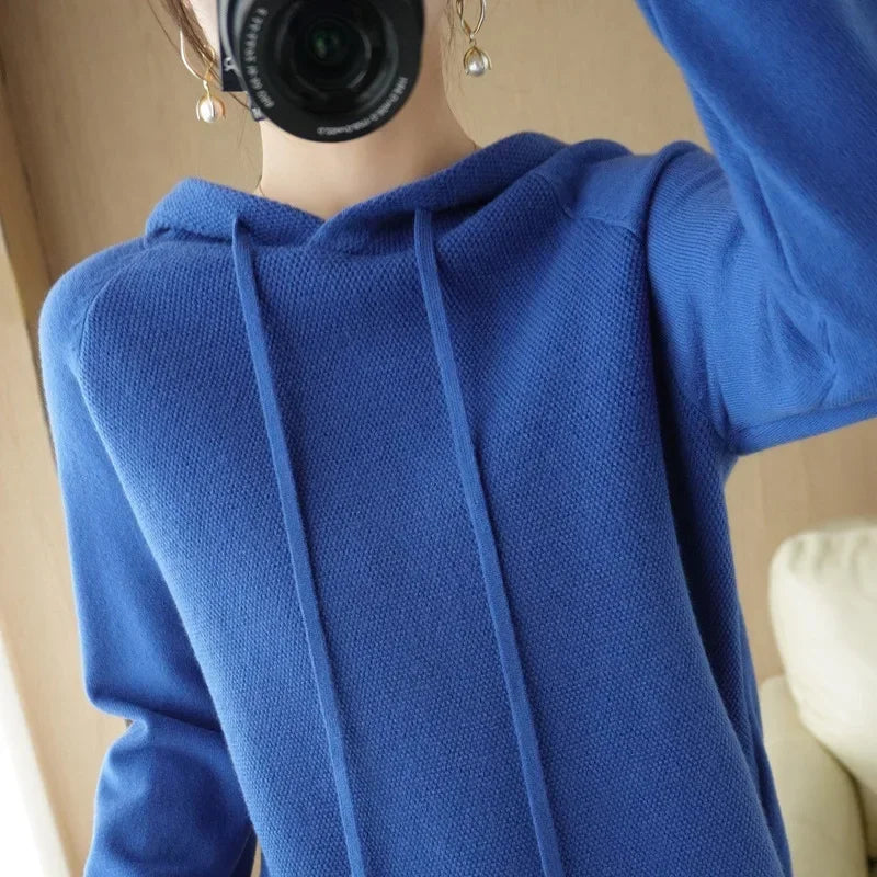 Hooded Knit Sweater Long Sleeve Regular Fit Pullover