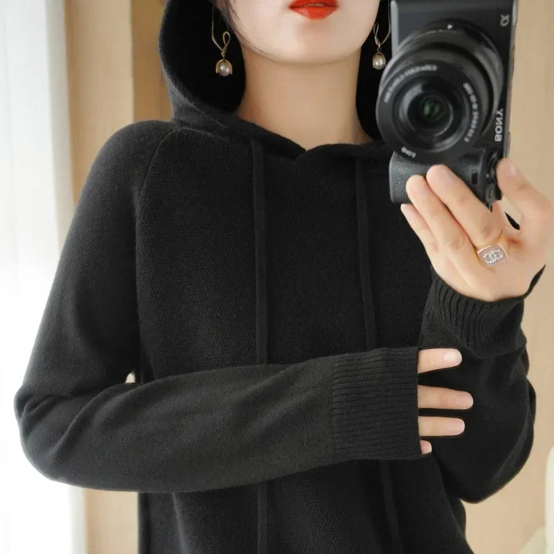 Hooded Knit Sweater Long Sleeve Regular Fit Pullover