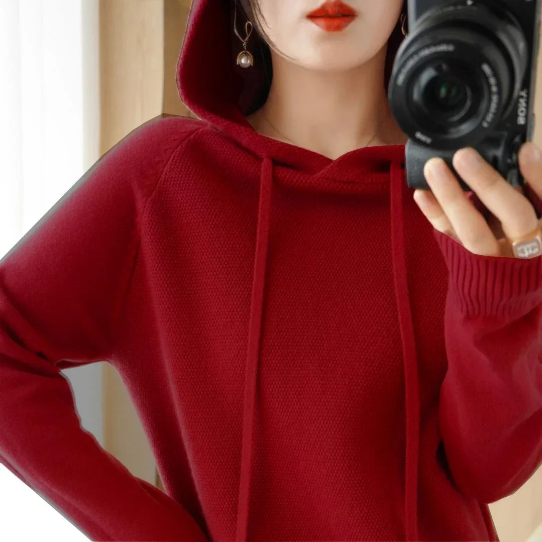 Hooded Knit Sweater Long Sleeve Regular Fit Pullover