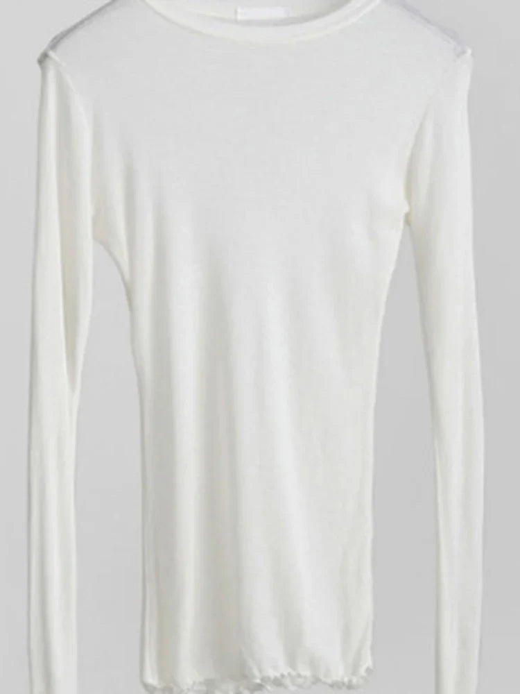 Sheer Long Sleeve Slim Fit Basic Tee